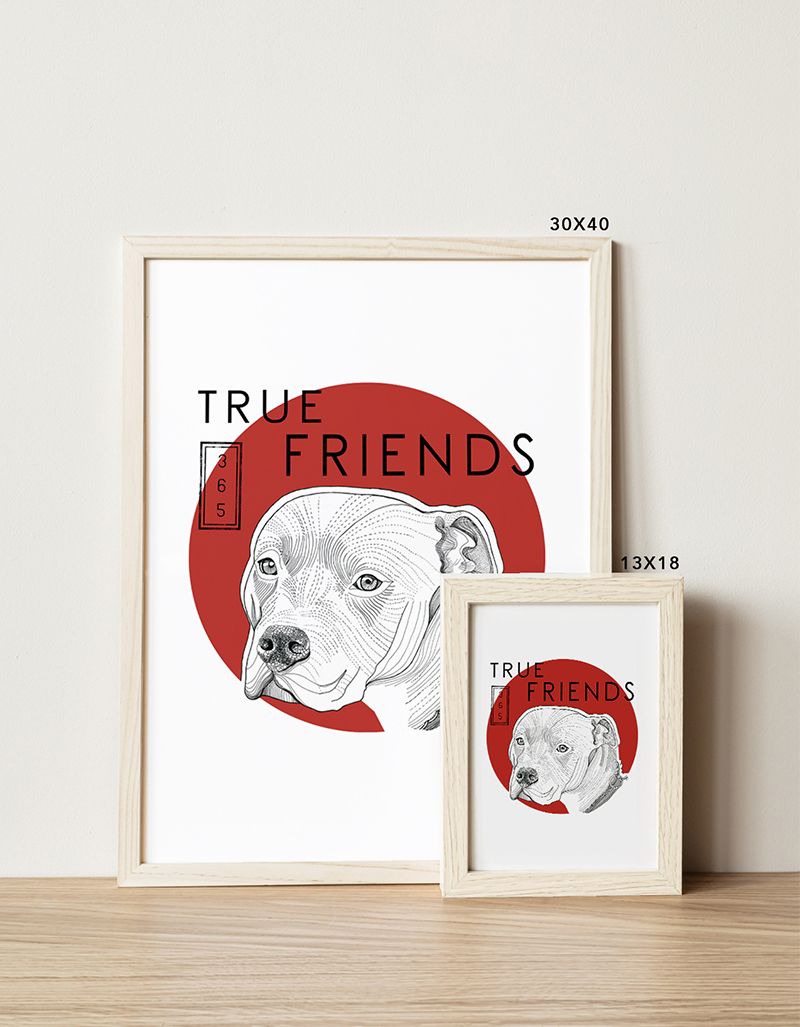 lamina-pitbullrojo-mixto